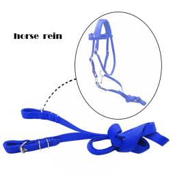 Nylon Bridle para passeios a cavalo, Rein Harness Headstall, Halter espessado, Engrenagem Equestre, Webbing Snaffle Removível - Image 2