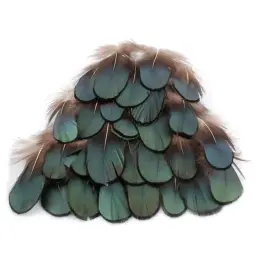 Pena De Pavão Natural Para Artesanato, Penas De Avestruz, Penas De Faisão Para Fazer Jóias, Ornamentos De Carnaval, Decoração Plumas - Image 5