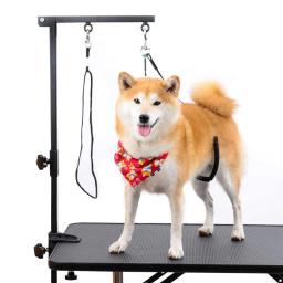 Ajustável dobrável Pet Grooming mesa com braçadeira, mesa para cão - Image 3