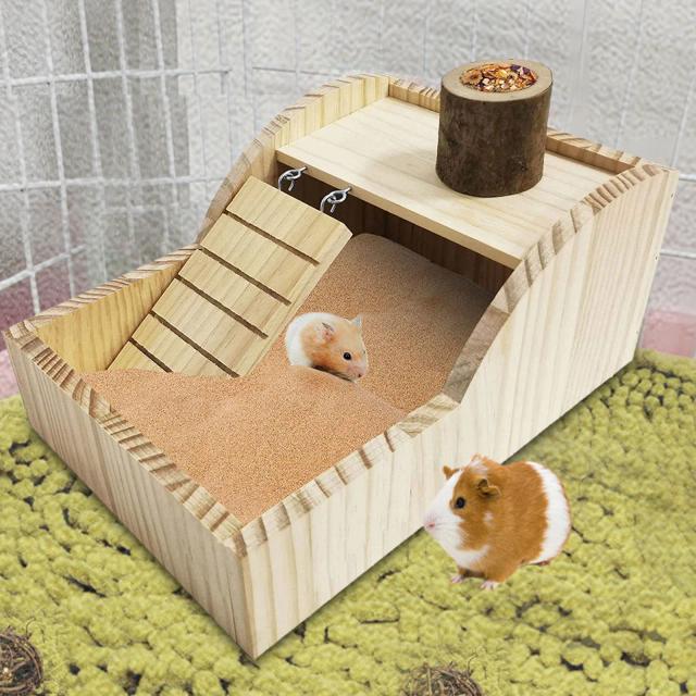 Casa Divertida para Hamsters com Escada - Acessórios de Enriquecimento para Gerbils e Pequenos Animais