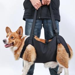 Arnês elevação para cães com suporte corporal para cães idosos feridos deficientes, suprimentos para animais estimação - Image 4