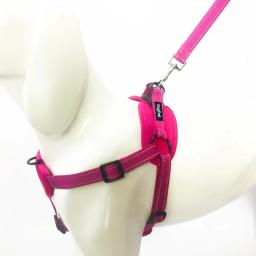 Ajustável Nylon Pet Chest Harness, Puppy Dog Collar, Pet Acessórios Suprimentos, Terno de luxo - Image 2
