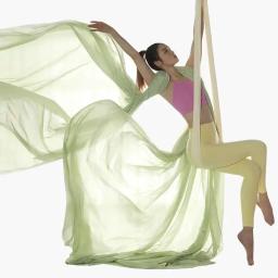 Conjunto completo de sedas aéreas yoga balanço rede equipamentos anti-gravidade cinto de inversão para ginásio casa dança aérea voando yoga conjunto 5*2.8m - Image 5