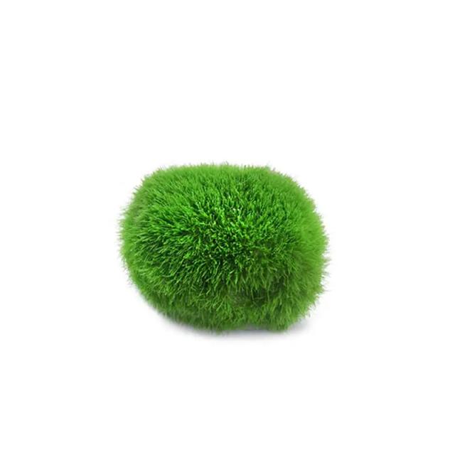 Bolas de Musgo Marimo: Decoração Natural para Aquários com Peixes e Camarões, Tamanhos de 2cm a 4cm