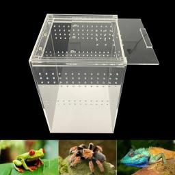 Caixa de reprodução de répteis acrílico aranha lagarto anfíbio caixa de reprodução transparente à prova de vazamento habitat de animais de estimação arboreal lobo aranha cerca - Image 3