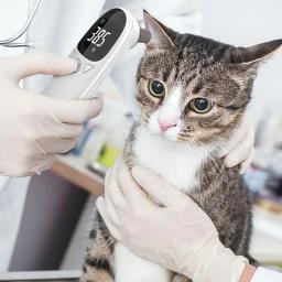 Dispositivo preciso de detecção de febre para animais, Termômetros animais para gatos, Suprimentos de alta tecnologia, Termômetros veterinários, Alta tecnologia - Image 2