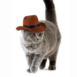 Chapéu de cowboy estrela ajustável para animais de estimação, traje de cão britânico, chapéu superior, chapéus de sol para gatos - Image 3