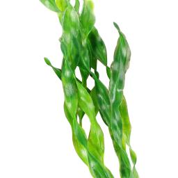 Plásticos Peixes Plantas De Aquário, Plantas De Água De Algas Para Aquário, Decoração Do Tanque De Peixes, 12-35cm, 10Pcs - Image 5