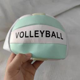 Tamanho 5 vôlei praia jogo de vôlei toque macio treinamento jogo bola para iniciantes ao ar livre indoor prática bola - Image 6