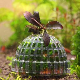 Plástico Aquário Moss Bola Filtro, aquático Pet Supplies, decorações para Camarão, Fish Tank, Pet Products, Decoração, 1Pc - Image 6
