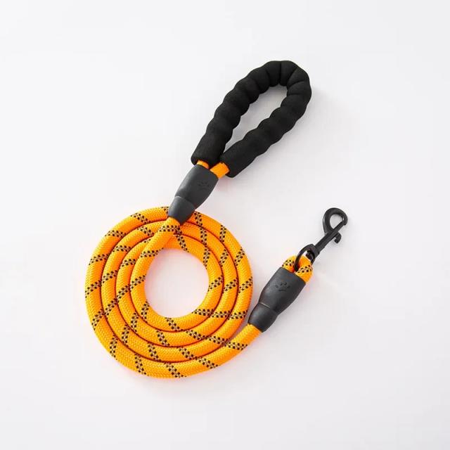 Trela de nylon reflexiva e resistente para passeios seguros com seu cão