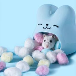Casa De Hamster De Cerâmica, Gaiola De Animais Pequena, Suprimentos De Paisagismo, Acessórios De Rato, Esquilos, Anão, Rato Ninho, Quatro Estações - Image 4