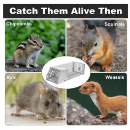 Armadilha De Rato De Aço Inoxidável, Apanhador De Animais, Armadilha De Esquilo, Apanhador Vivo, Armadilhas De Rato, Armadilha De Animais Selvagens, Ferramenta De Ratoeira - Image 3