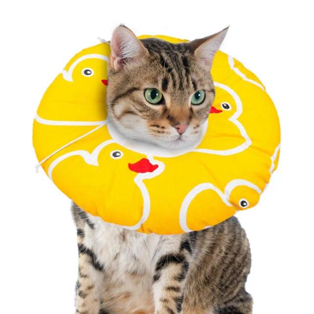 Colar Elizabeth Ajustável para Recuperação de Gatos e Animais de Estimação - Proteção Confortável em Forma de Donut