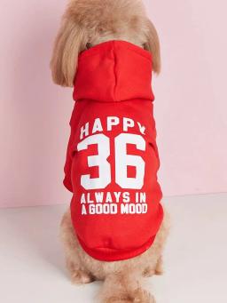 Roupas impressas em veludo confortáveis para animais, moletons quentes para cães e gatos, simples e trela - Image 5