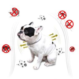 38m ajustável pet collar gato cachorro antipulga collar anti pulga tick piolho colar pet proteger repelir colar de borracha pet abastecimento - Image 5