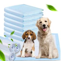Super Absorvente Pet Fralda, Almofadas de urina grossa para cães, Fralda descartável de urina rápida, Fraldas para cães e gatos, Desodorante Pet Supplies - Image 1