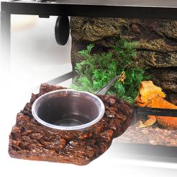 Prato alimentador sapos lagartos anfíbios alimentação réptil comida tigela de água para camaleão aranhas tartaruga leopardo gecko dragões barbudos - Image 2
