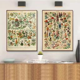 Vintage Clássico Arte Da Parede Plantas Cogumelo Medicina Flor Inseto Borboleta Vegetal Abóbora Cenoura Lona Cartazes - Image 3