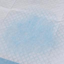50/100 pces treinamento do cão almofadas de xixi super absorvente pet fralda descartável saudável limpa fralda esteira para animais de estimação leite fralda suprimentos - Image 5