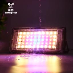 Full Spectrum LED Grow Light, Luz solar imitada, Lâmpada Phyto para Estufa, Iluminação Hidropônica para Crescimento de Plantas, Plug UE, 50W, 220V - Image 3