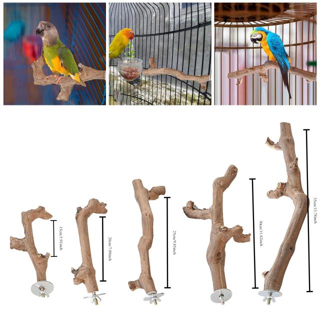Ventosa de Madeira para Suporte de Papagaio e Pássaros Pequenos - Brinquedo de Poleiro para Lovebirds e Periquitos
