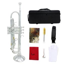 Bb B Flat Trompete Profissional, Trompete de Latão com Bocal, Pano de Limpeza, Strap Case, Acessórios para Instrumentos Musicais - Image 3