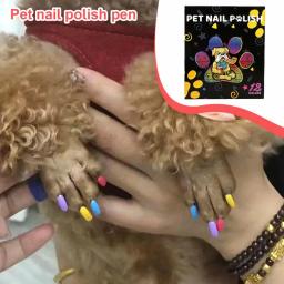 Quick Dry Nail Art Kit Manicure, Desenho Caneta, Pet Nail Art, Cães, Gatos, Papagaios, Coelhos e Outros Animais de Estimação - Image 5