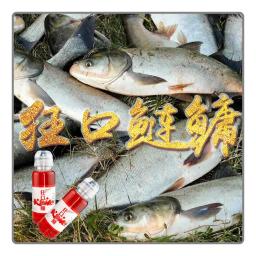 Aditivo isca para peixes de água doce, Carpa Prata e Bighead Carp, Isca alimentar especial, Aditivos de pesca, 220ml por PC - Image 6