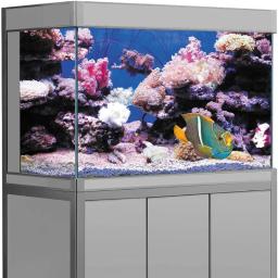 PVC Fish Tank Decoração Cartaz, Lado Duplo, 3D Fundo para Aquário, Oceano Plantas, Paisagem, Pintura Adesivo, Decoração Ornamento - Image 5