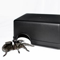 Abrigo para Pequenos Animais de Répteis e Anfíbios, Terrário para Animais de Estimação, Lagartixa, Serpente, Comida, Bacia de Água, Caixa de Escalada, Decoração - Image 3