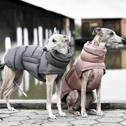Jaqueta para cães de estimação colete inverno quente para baixo colete roupas à prova de vento para cães casaco para animais de estimação chihuahua buldogue francês outfits - Image 1