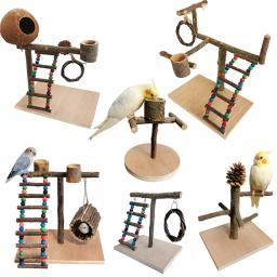Suporte De Papagaio De Madeira Sólida, Brinquedos De Pássaro De Treinamento De Desktop Stand Pole, Playground Interativo, Pequenos Pet Suprimentos - Image 1