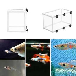 Aquário Isolamento Box, Fish Incubatório Net, Fish Breeding, Isolamento Ventosa, Acessório Caixa Fixa, Peixe Cuidados Suprimentos - Image 5