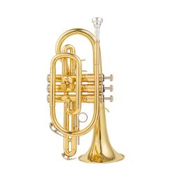 Bb Flat Gold Plated Brass Instrumento de sopro, Corneta profissional, bocal, luvas, pano de limpeza, estojo de transporte, alta qualidade - Image 4