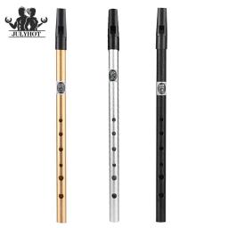 Flauta de metal para iniciantes, 6 buracos, C, D Key, Irish Whistle, Tin Penny, instrumento de flauta, sopros, saxofone Acessórios - Image 1