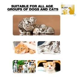 Botas de neve autoadesivas impermeáveis para animais de estimação, sapatos para cães, botas de proteção para patas, produtos para animais - Image 5