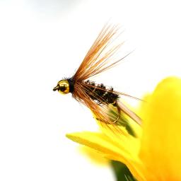 MNFT 10PCS 10 #   Cabeça de contas de tungstênio dourado truta grayling moscas de pesca mosca molhada - Image 5