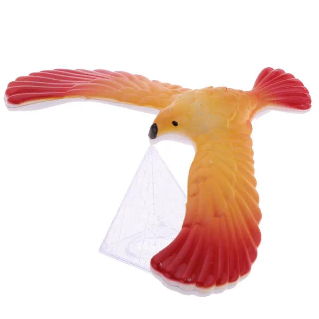 Explorando a Gravidade: Kit de Decoração com Pássaros, Águia, Ciência e Física Barycenter