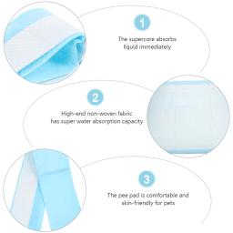 Fraldas portáteis para animais de estimação, Dog Pee Mat, Pad Pads, Training Wear, Urina Filhote, Urina Profissional, 40 PCs - Image 4