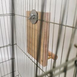 Papagaio espelho brinquedos para gaiola pendurado pássaro acessórios de madeira poleiro suporte de madeira natural balanço papagaio animais estimação itens para araras canários - Image 5