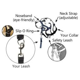 Ajustável Anti-morder Pet Focinho, Focinho Do Cão, Nariz Máscara De Cabelo, Conjunto De Tração, Cinto De Treinamento - Image 2