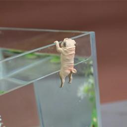 Estatuetas aquário decorações enfeites animais filhote cachorro pequeno para decoração tanques peixes - Image 2