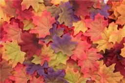 Tecido de seda Maple Leaf Mixed Pack, Ação de graças, Casa mesa, Jardim, Dia das Bruxas, Festival da colheita, Outono, 500, 1000 - Image 5