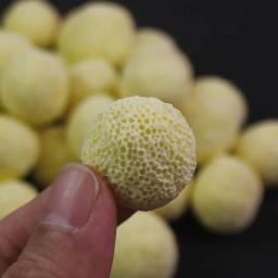 Bolas bacterianas para o crescimento de algas, Material do filtro do aquário, Melhorar a qualidade da água, Amarelo - Image 3