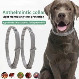 Anti Flea and Ticks Pet Collar, 8 meses de proteção, retrátil, adequado para cachorro e gato, acessórios para cães, 2 pcs, 1pc - Image 1