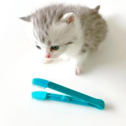 Eco-Friendly Kitten Eye Rub, Handheld Cat Eye Wipe, Escova Poo, Design de fivela reutilizável, Pet pente, escova mancha de lágrima - Image 4