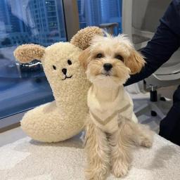Almofada em forma de U para animais de estimação, proteger a coluna cervical, sono profundo, travesseiro estabilizador para filhotes, fofo, cães - Image 1