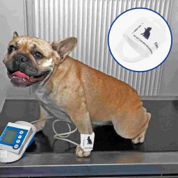 Monitor Pet Suprimentos Veterinários, Gato Universal, Animal, Cão, Manual, Manguito - Image 5