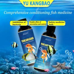 Medicação de saúde para peixes, Fin Rot Treat, Purify Aquarium, remédio seguro, controle de algas, água, 100ml - Image 4